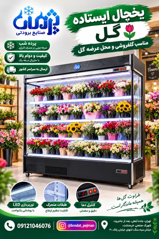 خرید یخچال گل