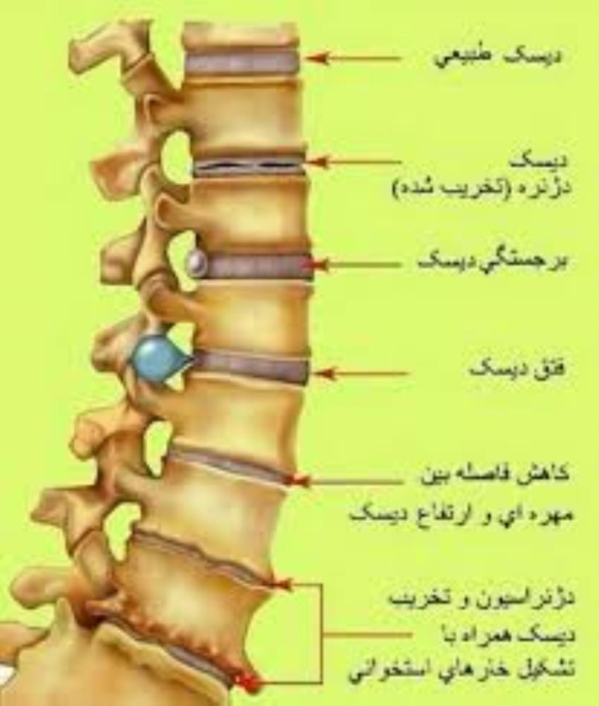 خدمات کلینیک تخصصی طب سنتی طراوت تن