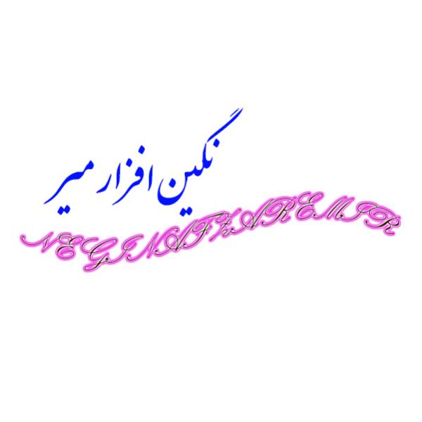 لوگوی نگین افزار میر