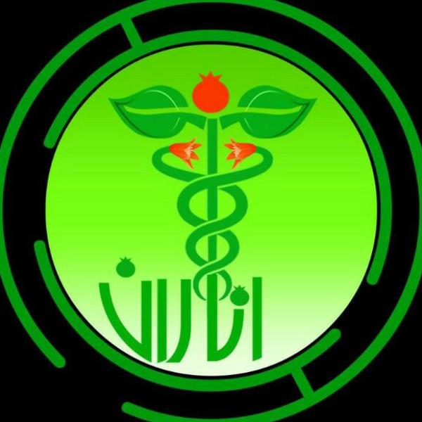 لوگوی اناران طب