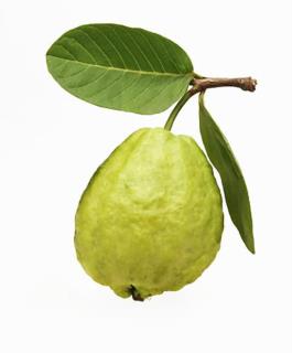 بذر گواوا سبز گلابی مکزیکی فوق درشت بسته ۵ عددی