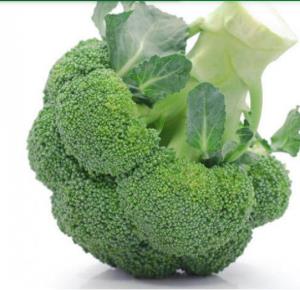 بذر کلم بروکلی گرین مجیک هیبرید آمریکایی بسته 20 عددی