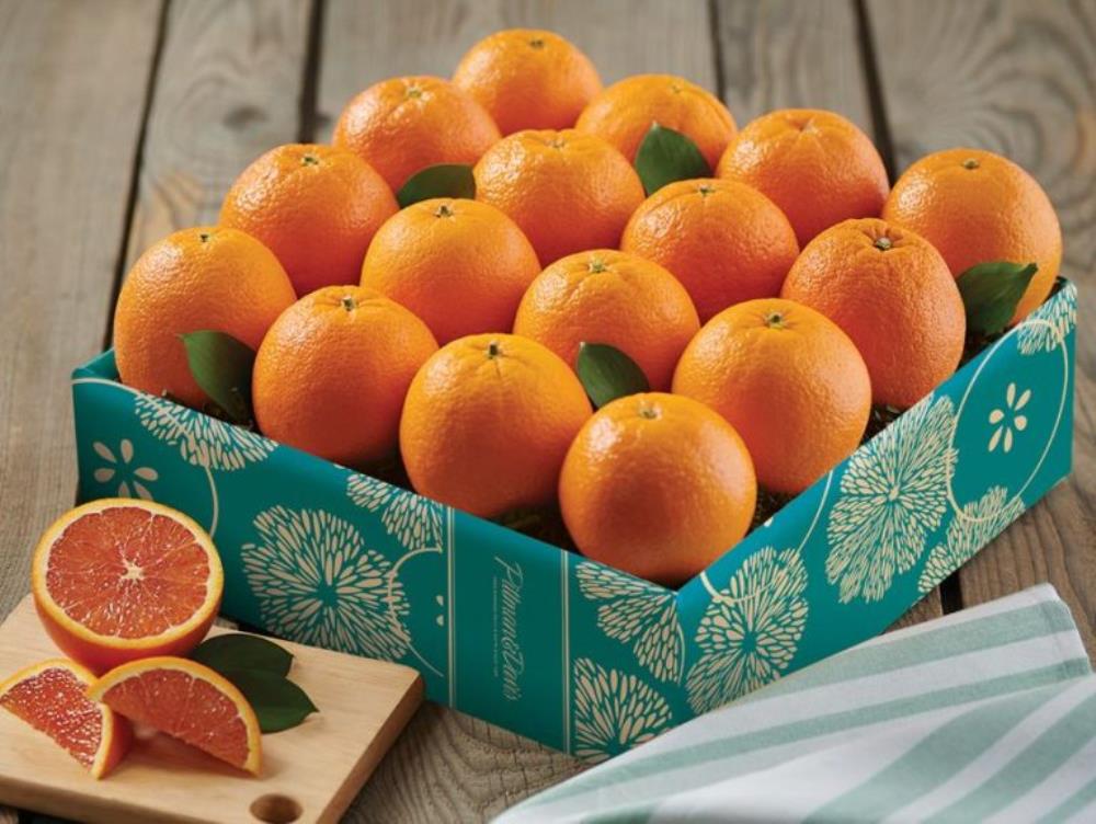 نهال پرتقال توسرخ کارارا پیوندی دوساله گلدانی