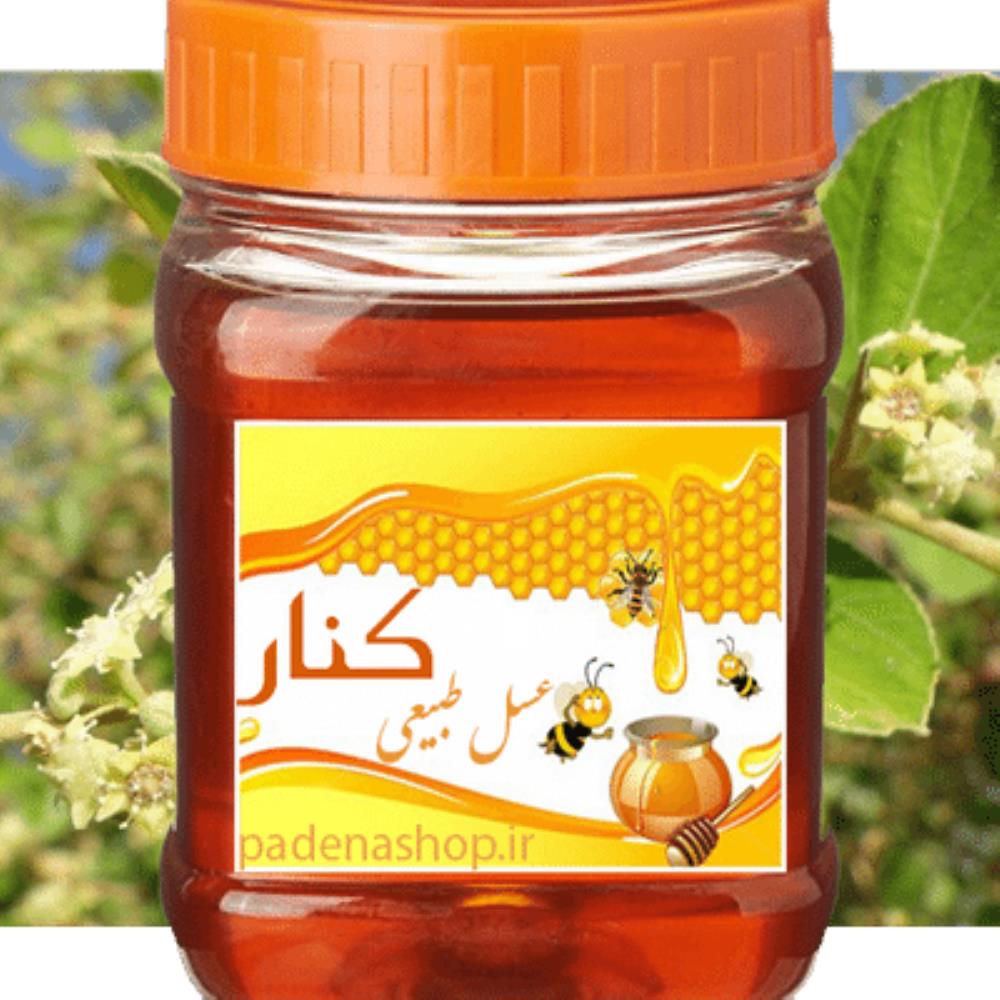 عسل کنار(سدر)