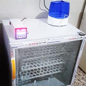 دستگاه جوجه کشی اتوماتیک