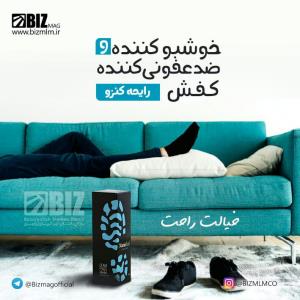 خوشبو کننده کفش