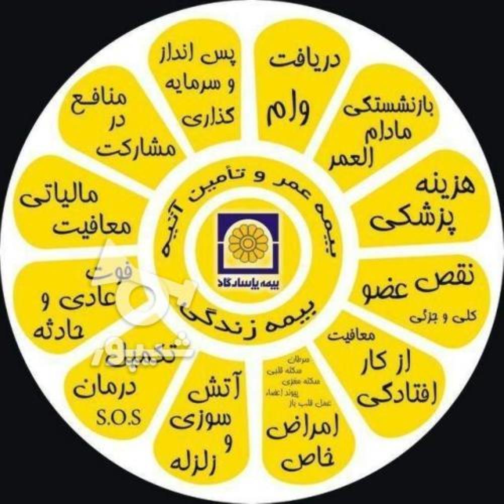 بیمه عمر و آتیه پاسارگاد