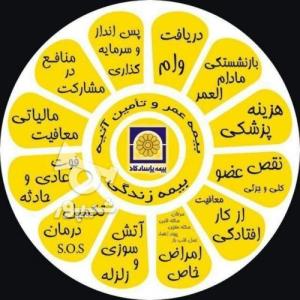 بیمه عمر و آتیه پاسارگاد