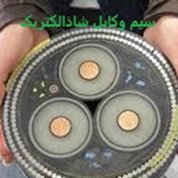 لوگوی سیم وکابل شاذ الکتریک