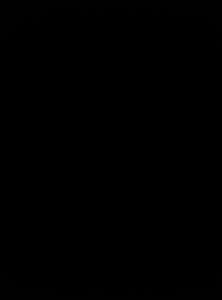 پروانه صادراتی