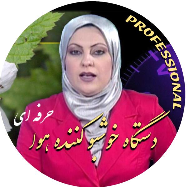 لوگوی رادمان