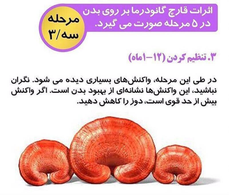 کافه سوپریم با قارچ گانودرما