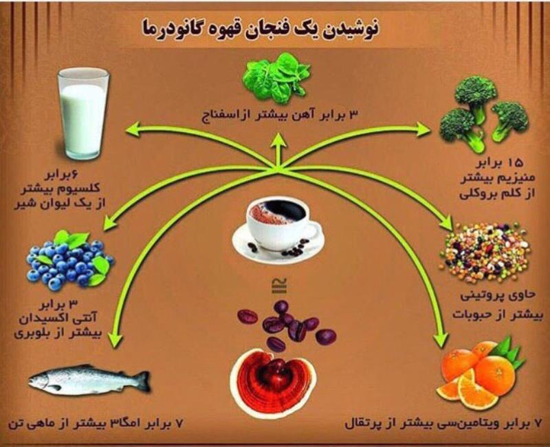 کافه موکا با قارچ گانودرما