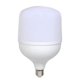 ال ای دی 60 وات آلیت