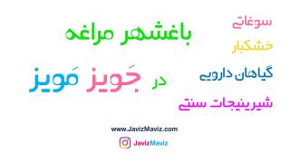 فروشگاه اینترنتی خشکبار مراغه/جویز مویز