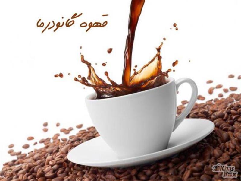 قهوه درمانی گانودرما