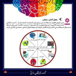 هوش های چندگانه