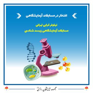 کسب رتبه های برتر در مجموعه مدارس شایستگان