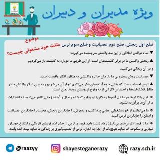 دانش افزايي مديران و دبيران شايستگان رازي