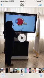 برتريت و حرفه اي ترين سيستم مجازي ايران