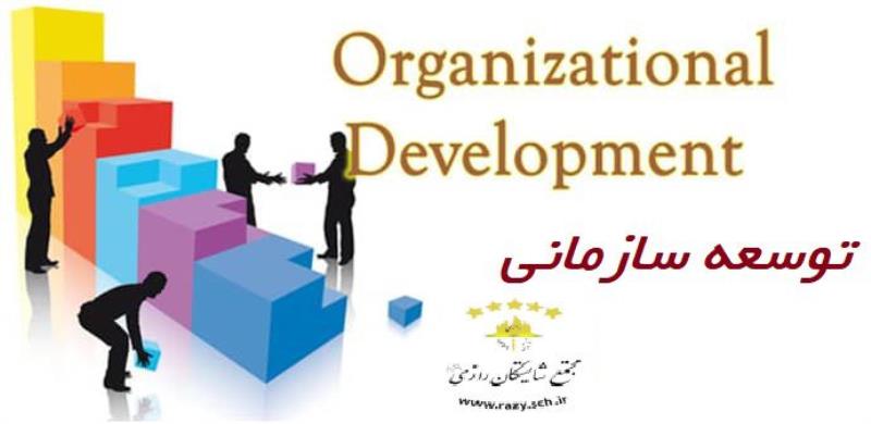 توسعه سازماني در مجموعه  شايستگان رازي