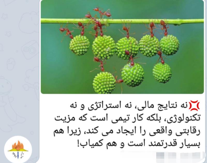 توسعه سازمانی در شایستگان رازی