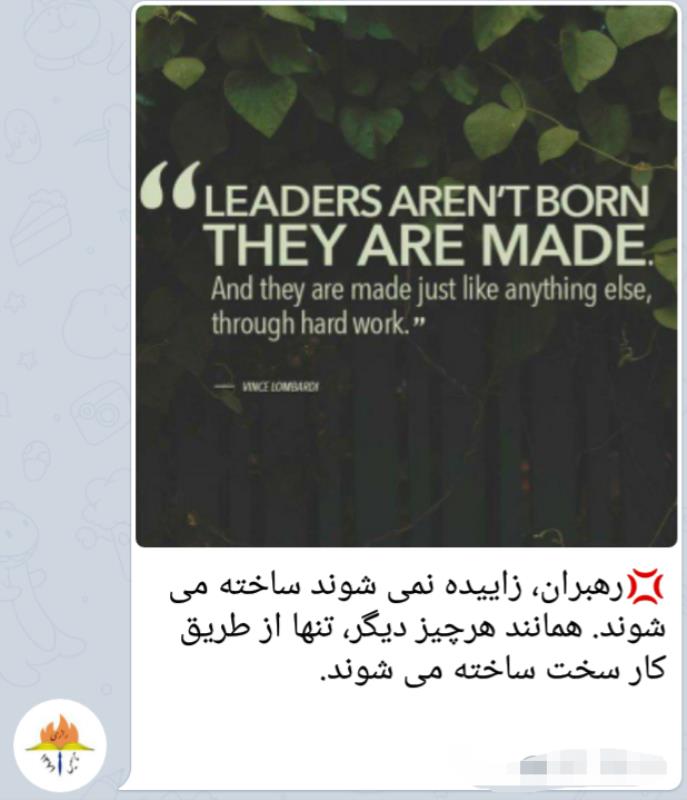 توسعه سازمانی در شایستگان رازی