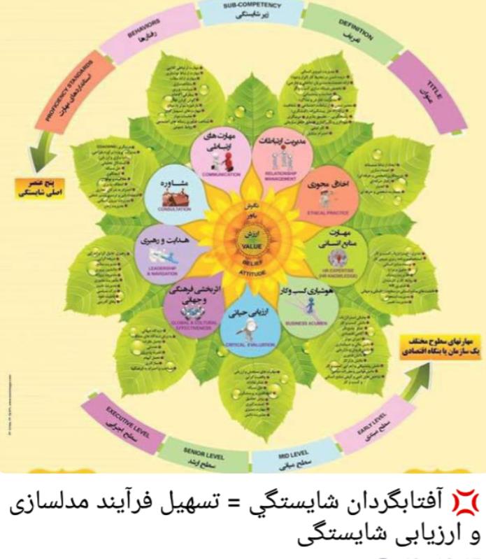 توسعه سازمانی در شایستگان رازی