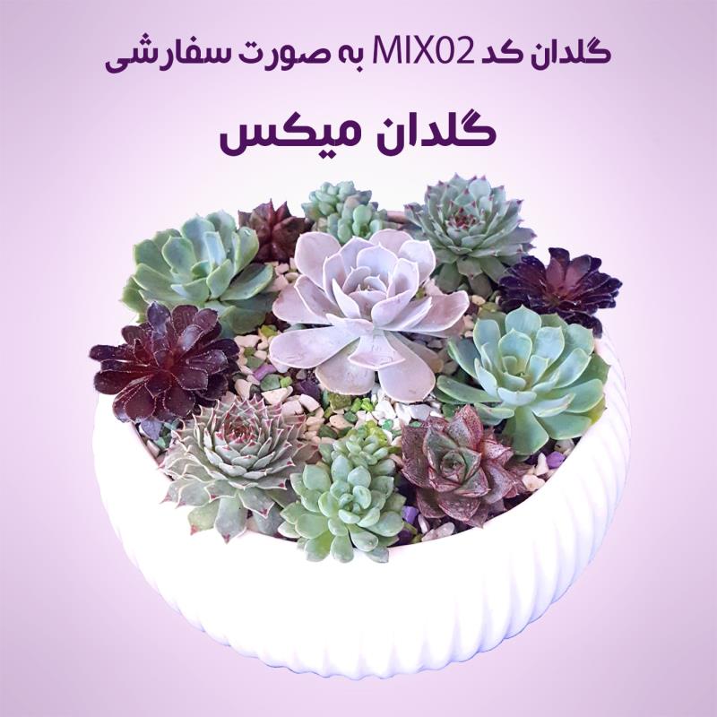 گلدان های دیش گاردن ساکولنت مدل MIX02