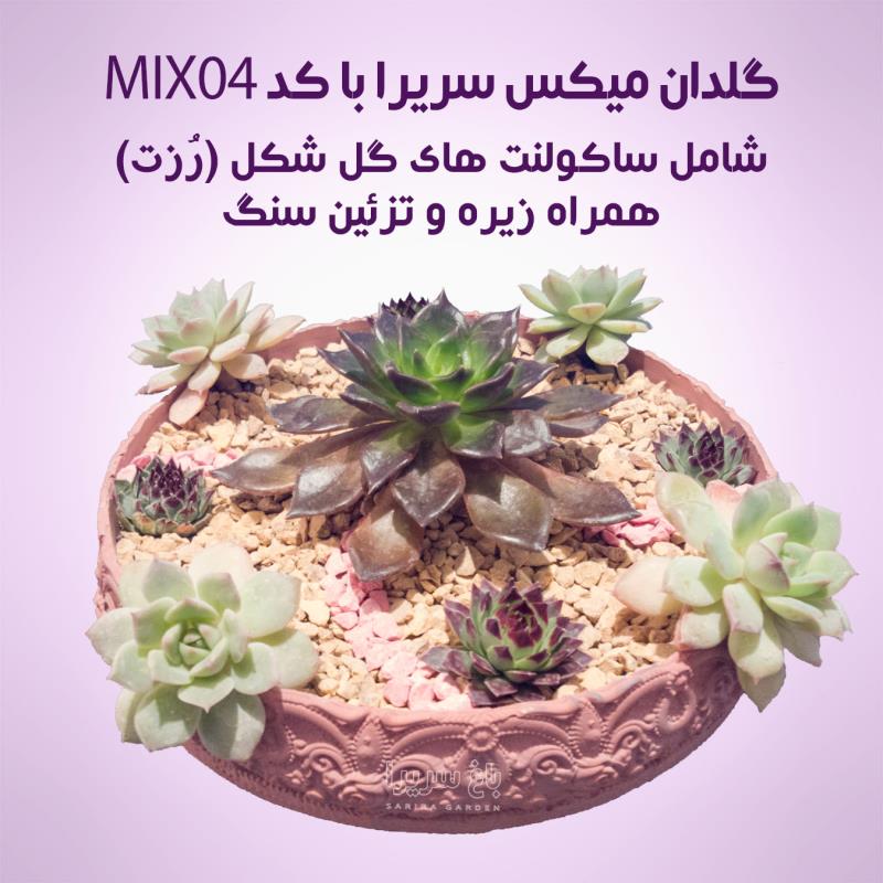 گلدان های دیش گاردن ساکولنت مدل MIX04