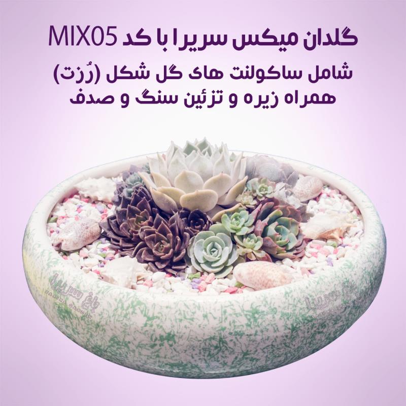 گلدان های دیش گاردن ساکولنت مدل MIX05