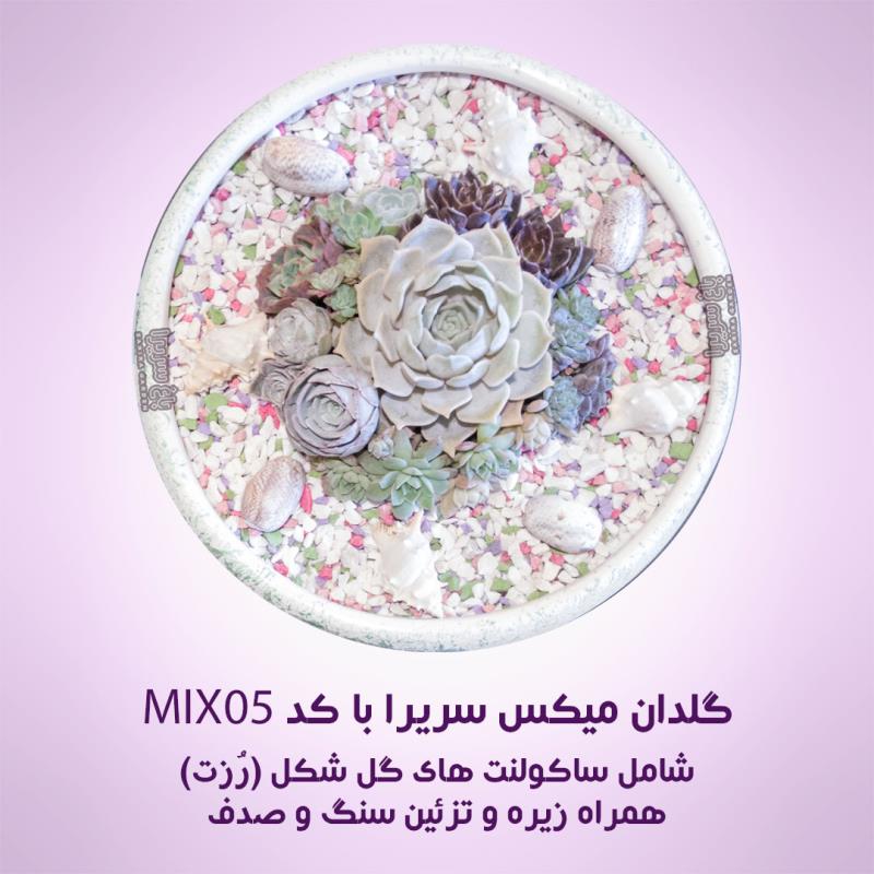گلدان های دیش گاردن ساکولنت مدل MIX05