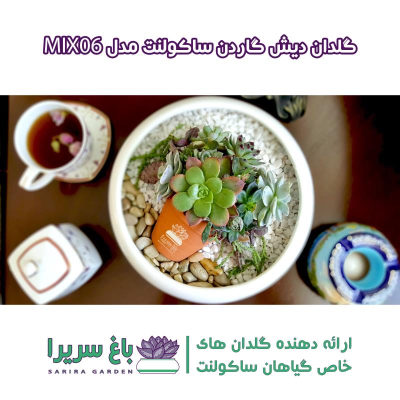 گلدان های دیش گاردن ساکولنت مدل MIX06