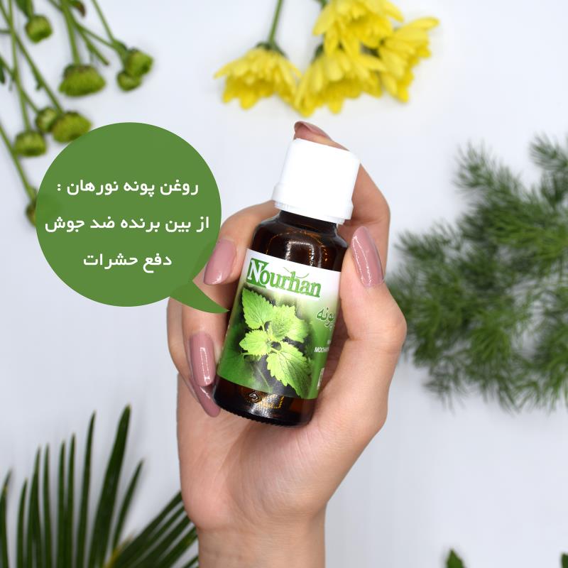 روغن پونه نورهان _ 30ml