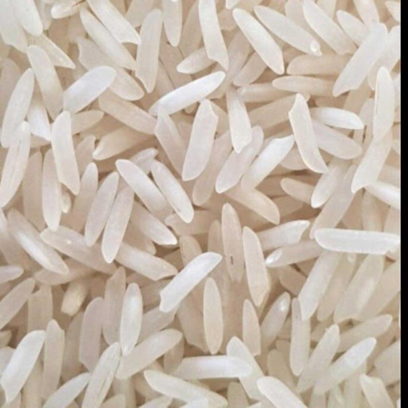 انواع برنج محصول شالیزارهای فارس