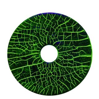 تست بلوک ذرات مغناطیسی MTU3 MT