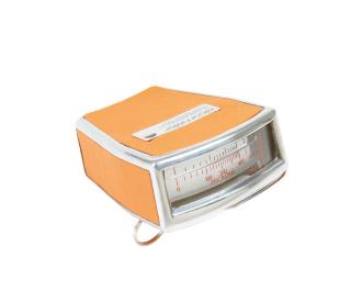 ضخامت سنج رنگ و لعاب برند الکومتر مدل 101