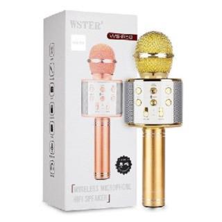 میکروفون و اسپیکر WSTER WS-858
