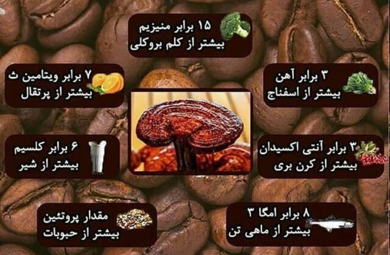 فروش قهوه گانودرما ،قارچ گانودرما، قهوه فوری