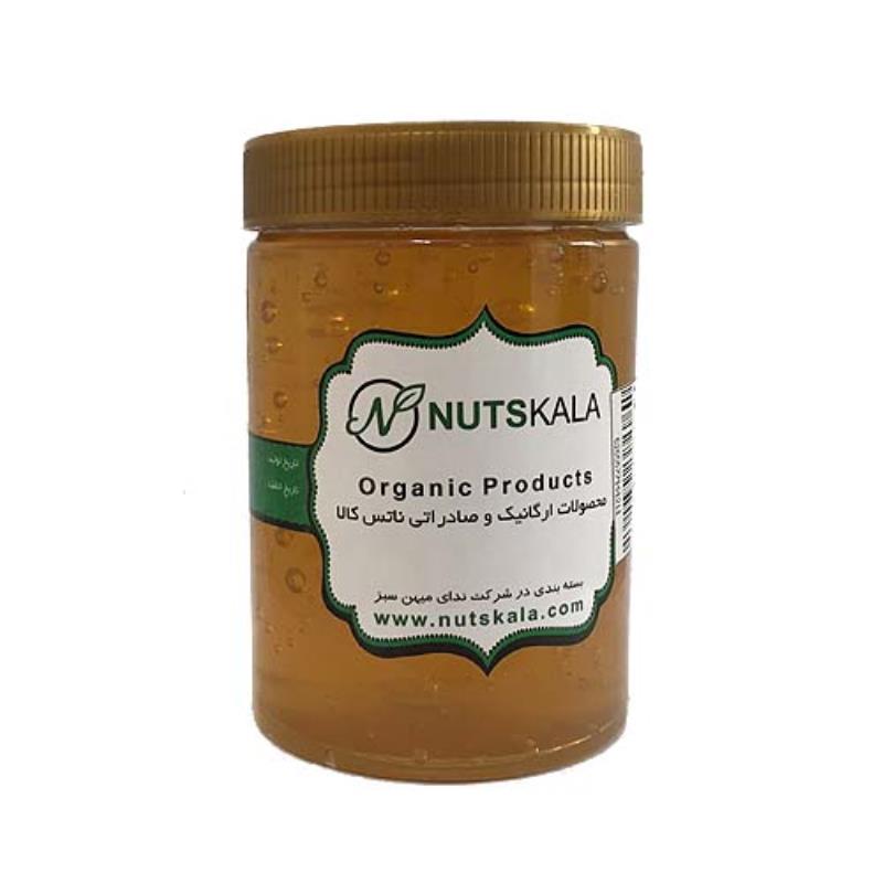 عسل طبیعی گون ناتس کالا – جار یک کیلو