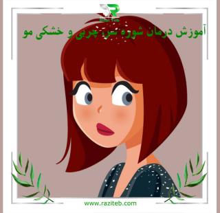 آموزش تخصصی درمان شوره سر