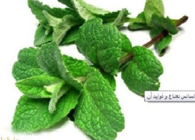 نعناع خشک خانگی و محلی