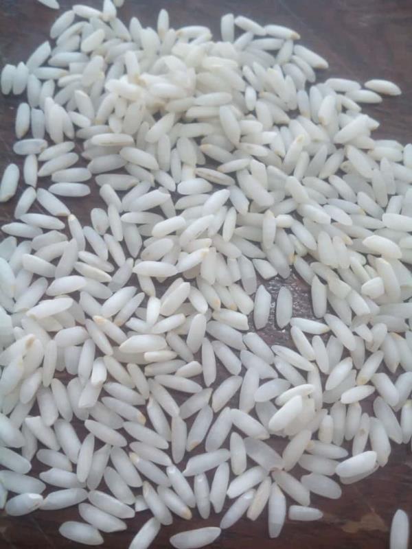 برنج عنبربو خوزستان 10 کیلویی