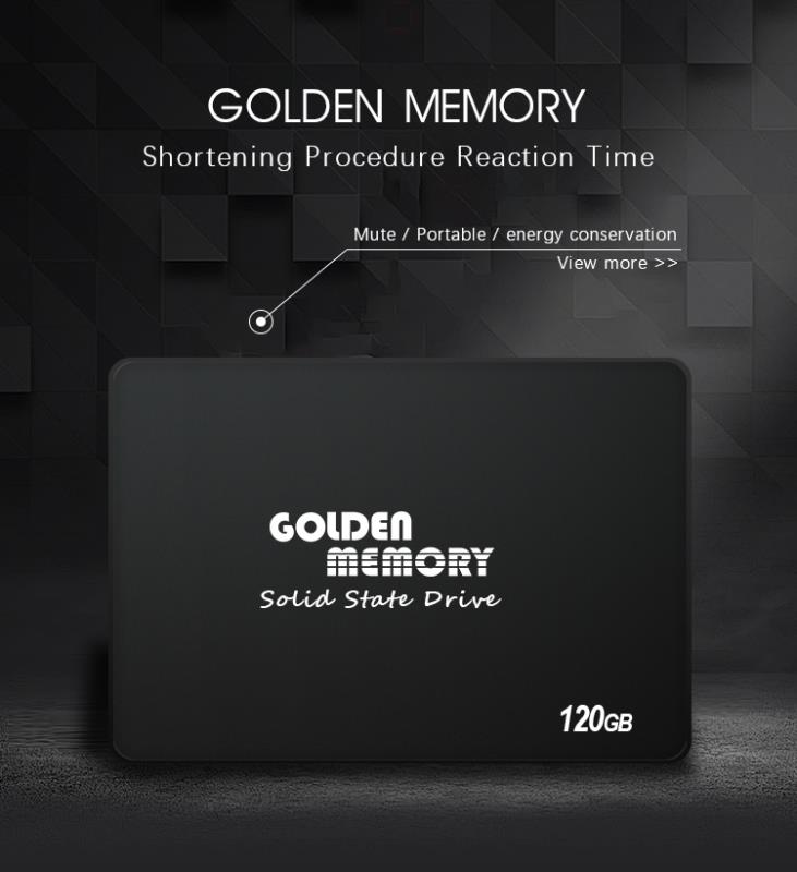 هارد SSD Golden Memory 120 GB