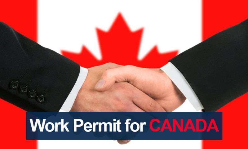 ویزای اپن ورک پرمیت کانادا (Open Work Permit )