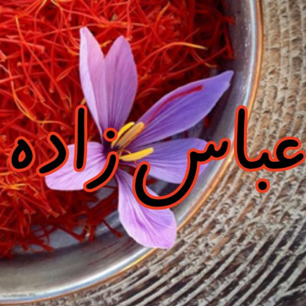 لوگوی عباس زاده