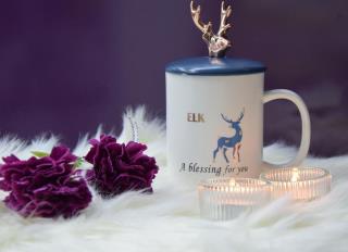 ماگ  طرح گوزن