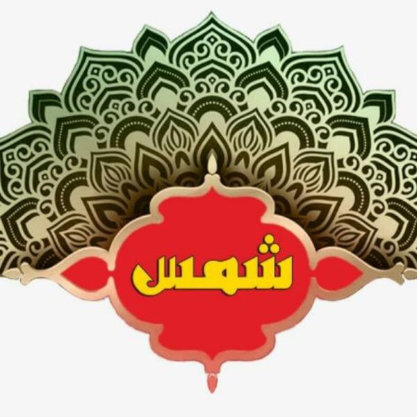 لوگوی بازرگانی شمس