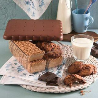 ظرف بیسکویت