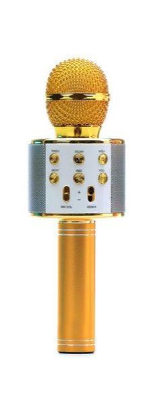 میکروفون اسپیکر وستر مدل WS-858